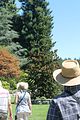 139 - Butchard Gardens  - IMG_1662